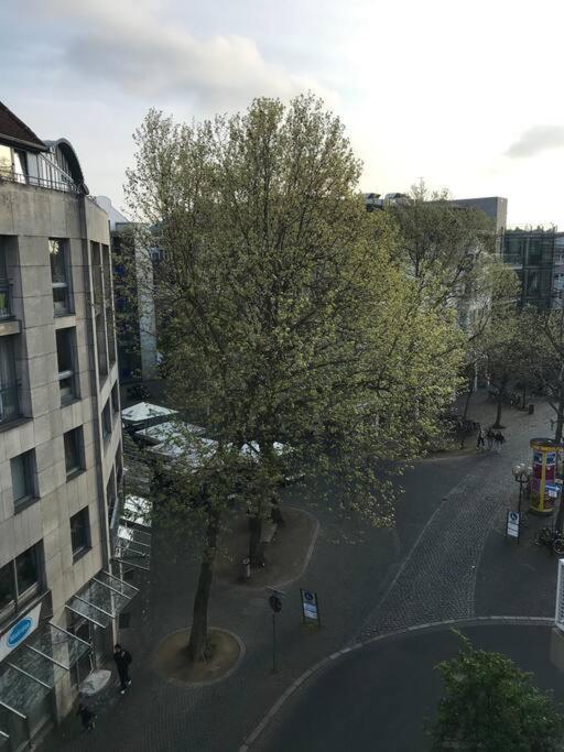 2 Zi Whg Auf 2 Etagen Dg, Aufzug, Balkon Apartment *